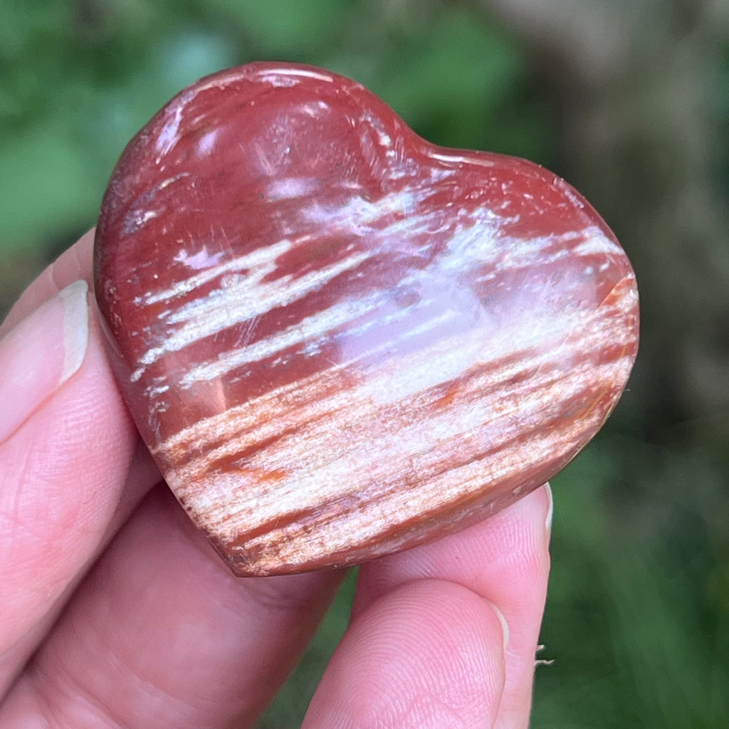 Inima lemn pietrificat, pietre semipretioase - druzy.ro 2 