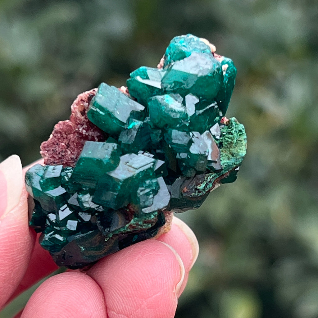 Dioptaz cluster din Congo model 15, pietre semipretioase - druzy.ro 1 