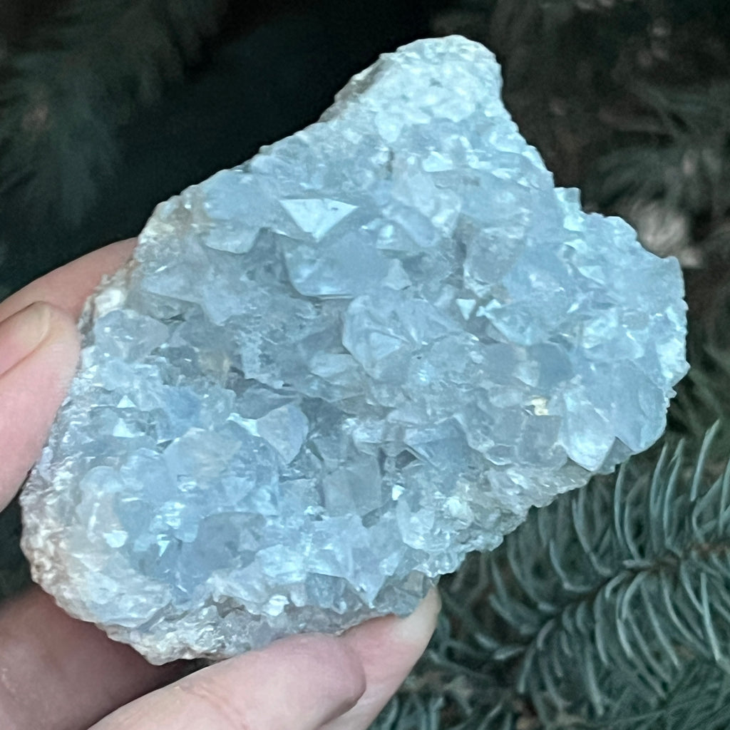 Celestit/celestina cluster m2, pietre semipretioase - druzy.ro 4 