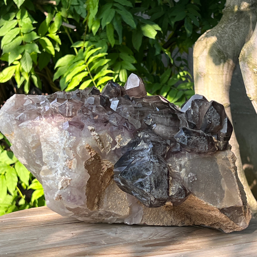 Specimen cluster cuart fumuriu mina Brandberg m8, pietre semipretioase - druzy.ro 6 