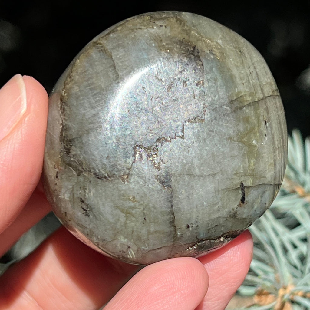 Labradorit palm stone m5, druzy.ro, cristale 3