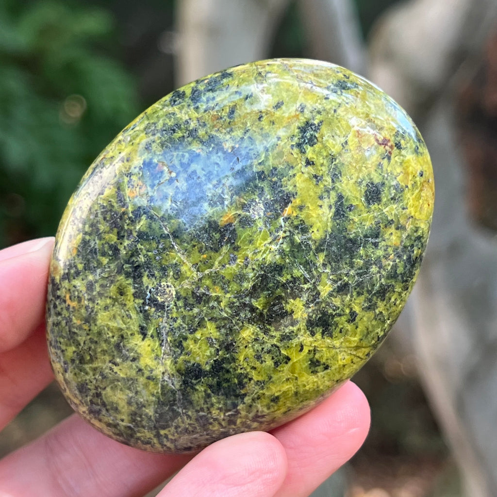 Opal verde palmstone m10, pietre semipretioase - druzy.ro 4 