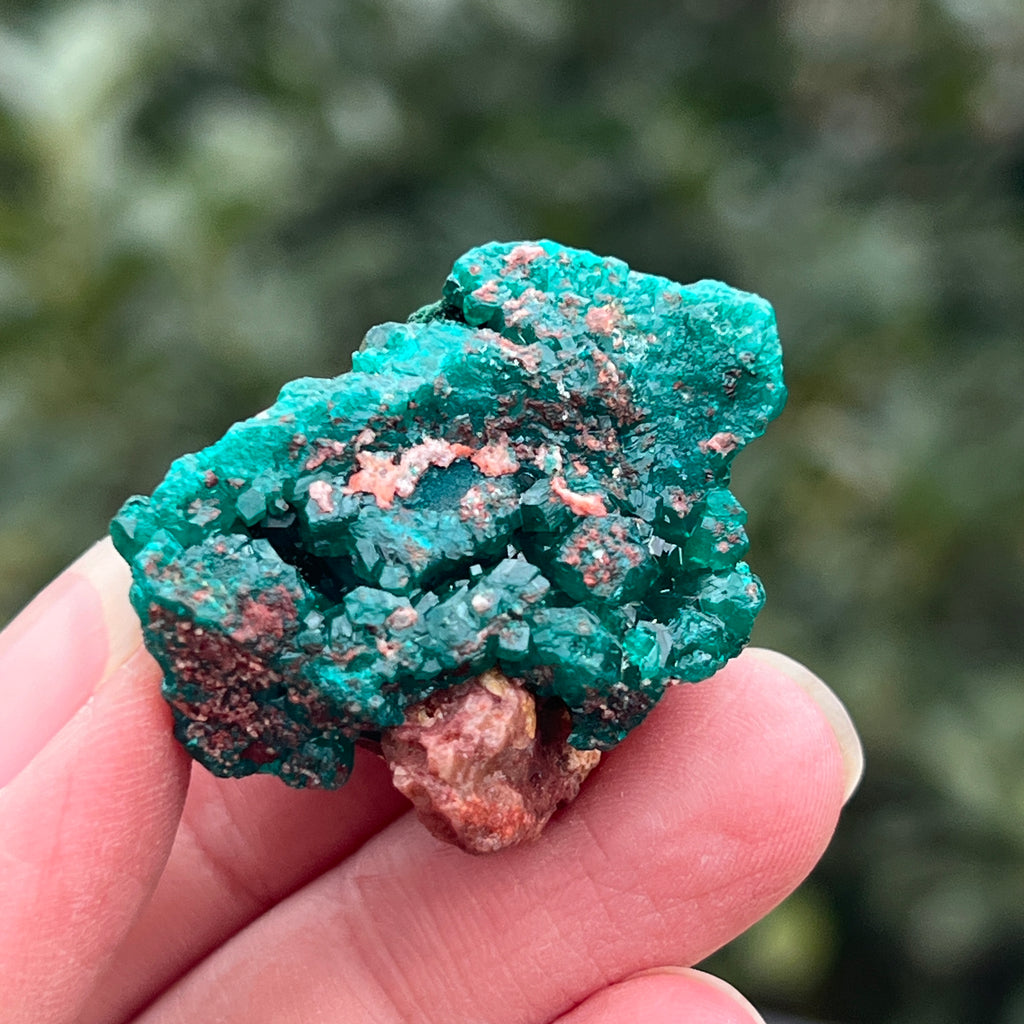 Dioptaz cluster din Congo model 36, pietre semipretioase - druzy.ro 5 