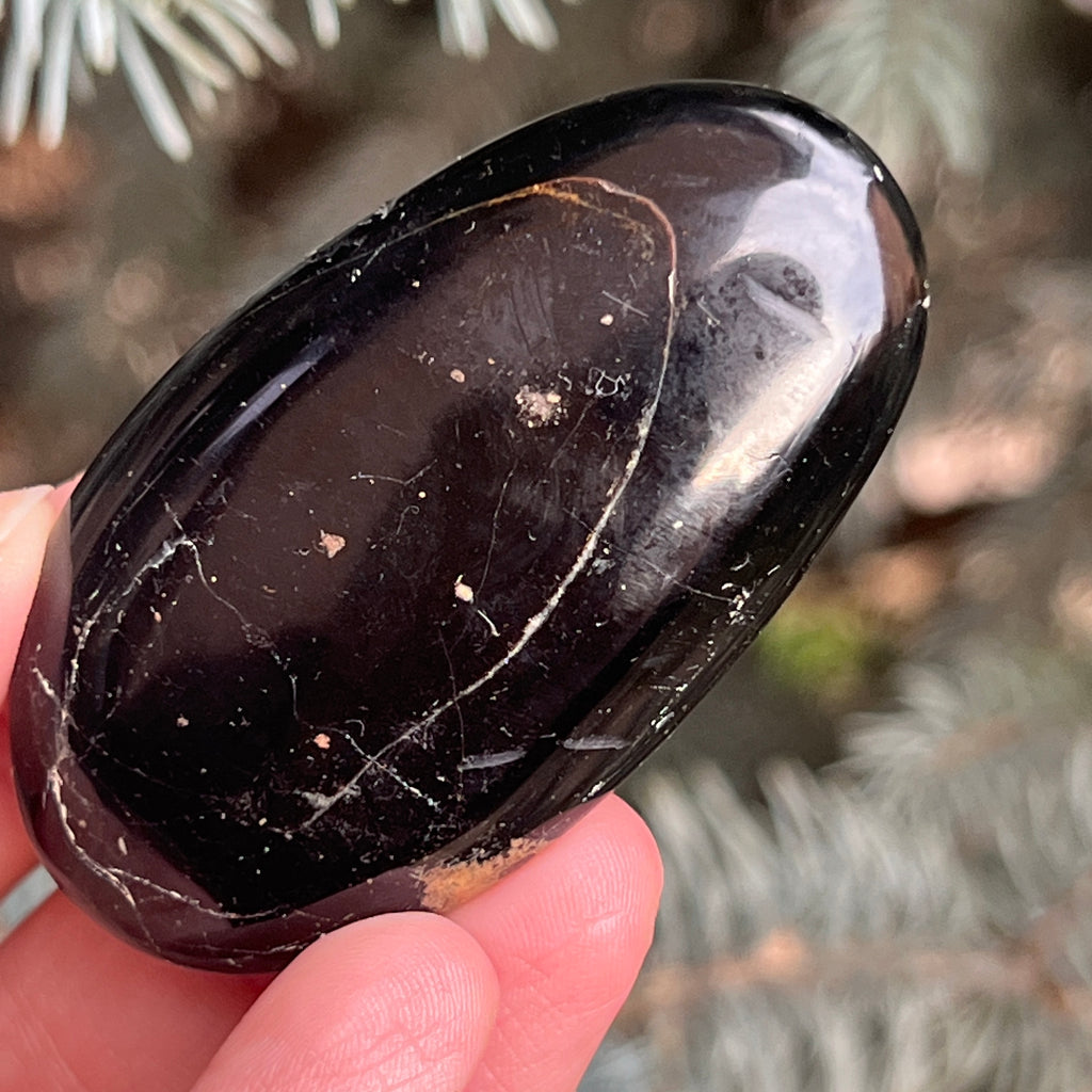 Turmalina neagra palmstone m12, pietre semipretioase - druzy.ro 2 