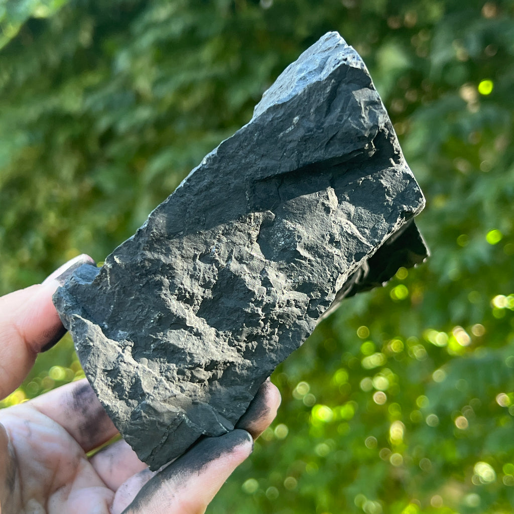 Shungit piatra bruta XXL model 2, pietre semipretioase - druzy.ro 3 