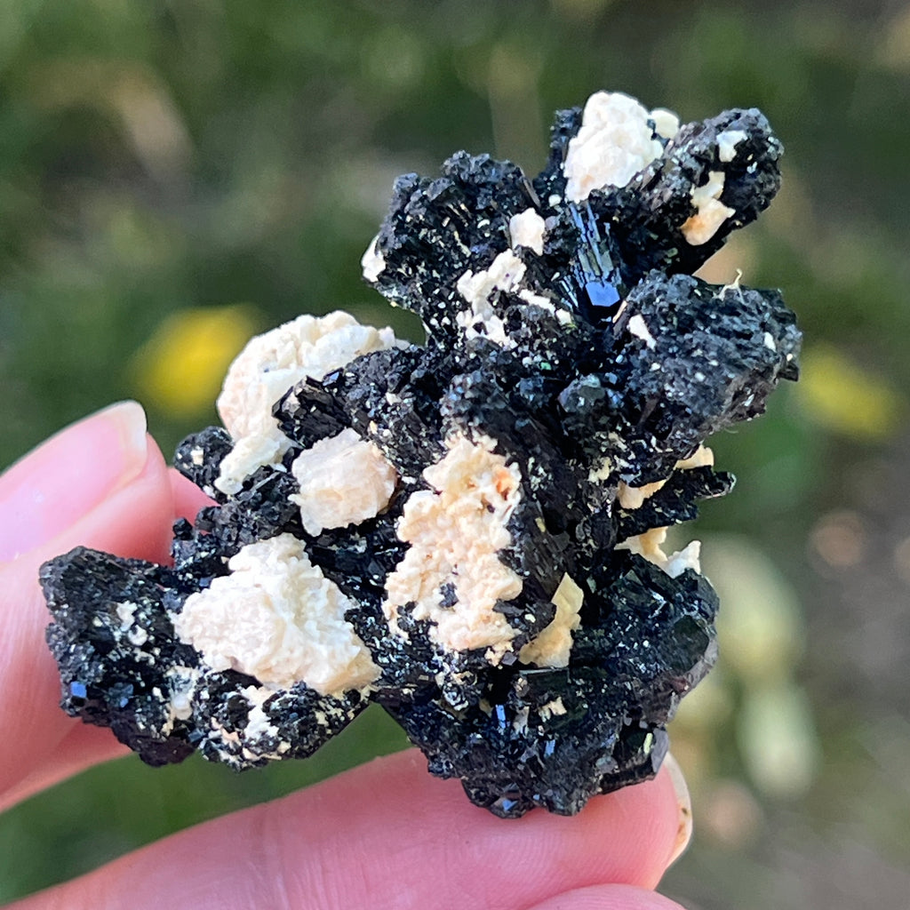 Cluster turmalina neagra model 16 din Erongo, Namibia, pietre semipretioase - druzy.ro 4 