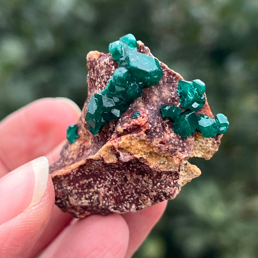 Dioptaz cluster din Congo model 30, pietre semipretioase - druzy.ro 1 