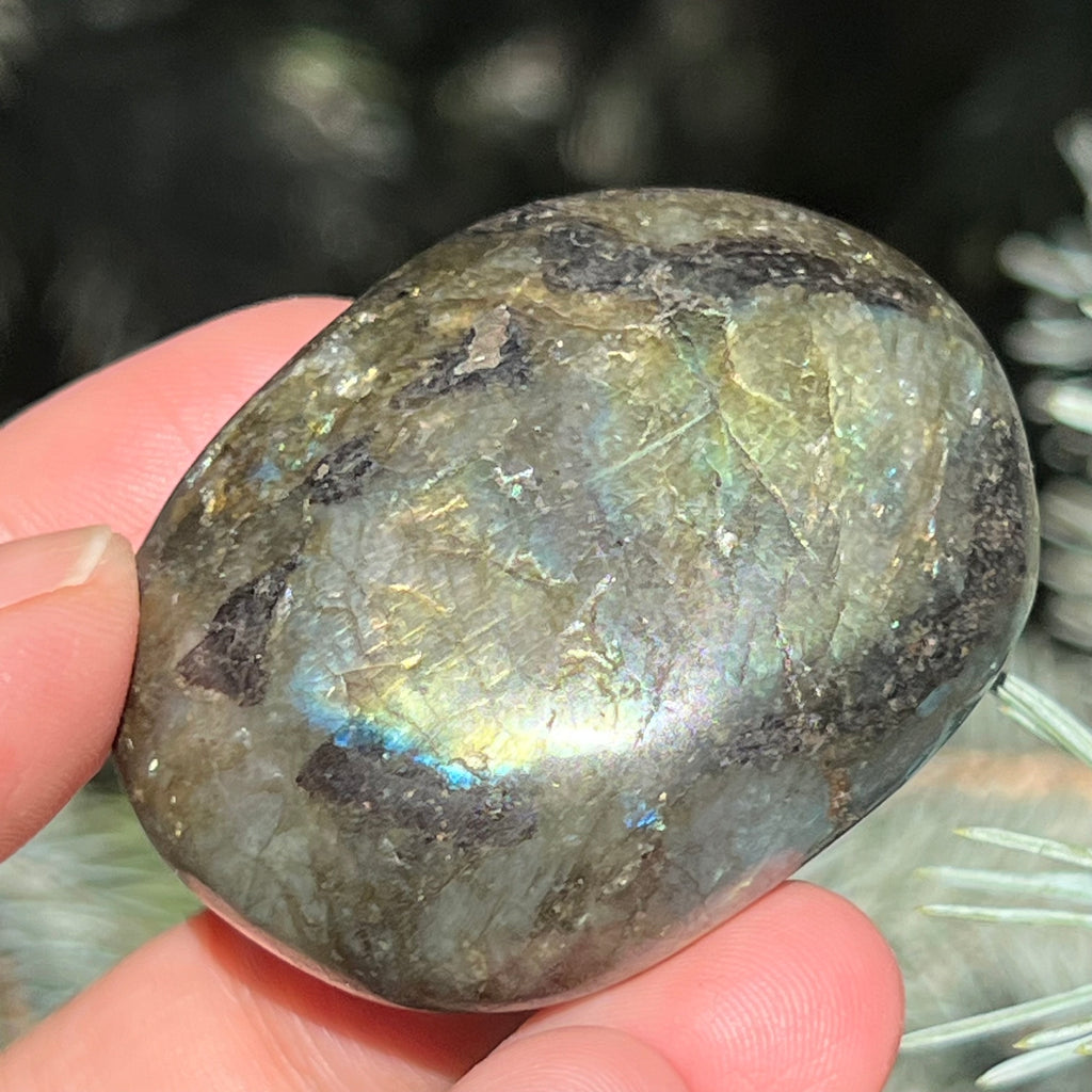 Labradorit palm stone m16, druzy.ro, cristale 4