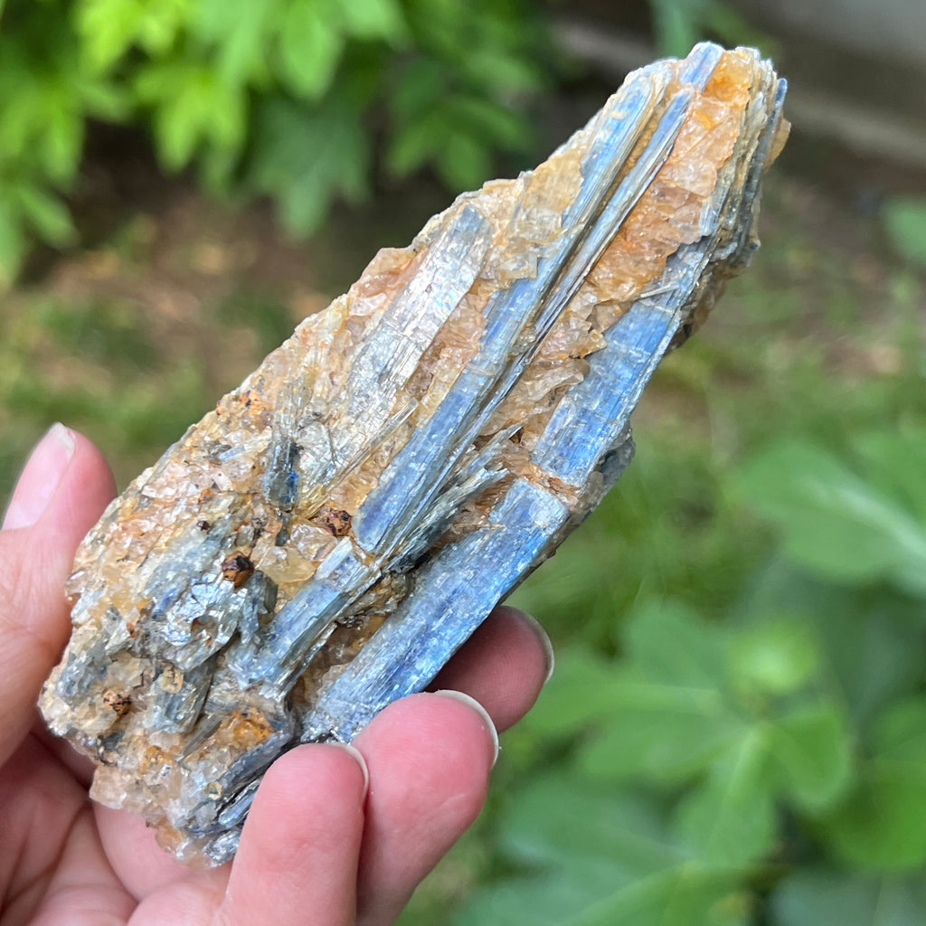 Kianit albastru (Cianit) piatra bruta din Zimbabwe model 14, pietre semipretioase - druzy.ro 4 