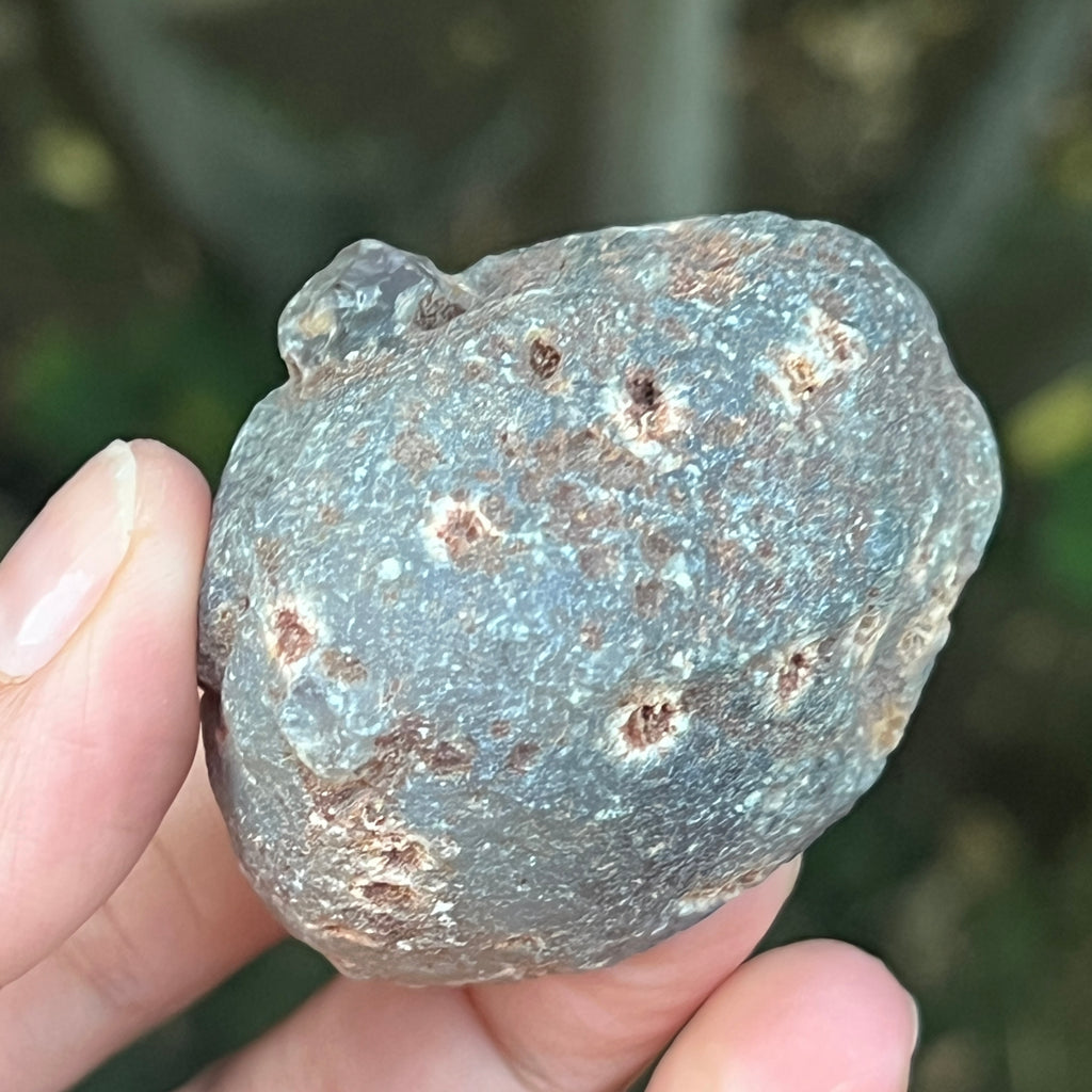 Agat de Botswana, nodul agat river model 9, pietre semipretioase - druzy.ro 3 