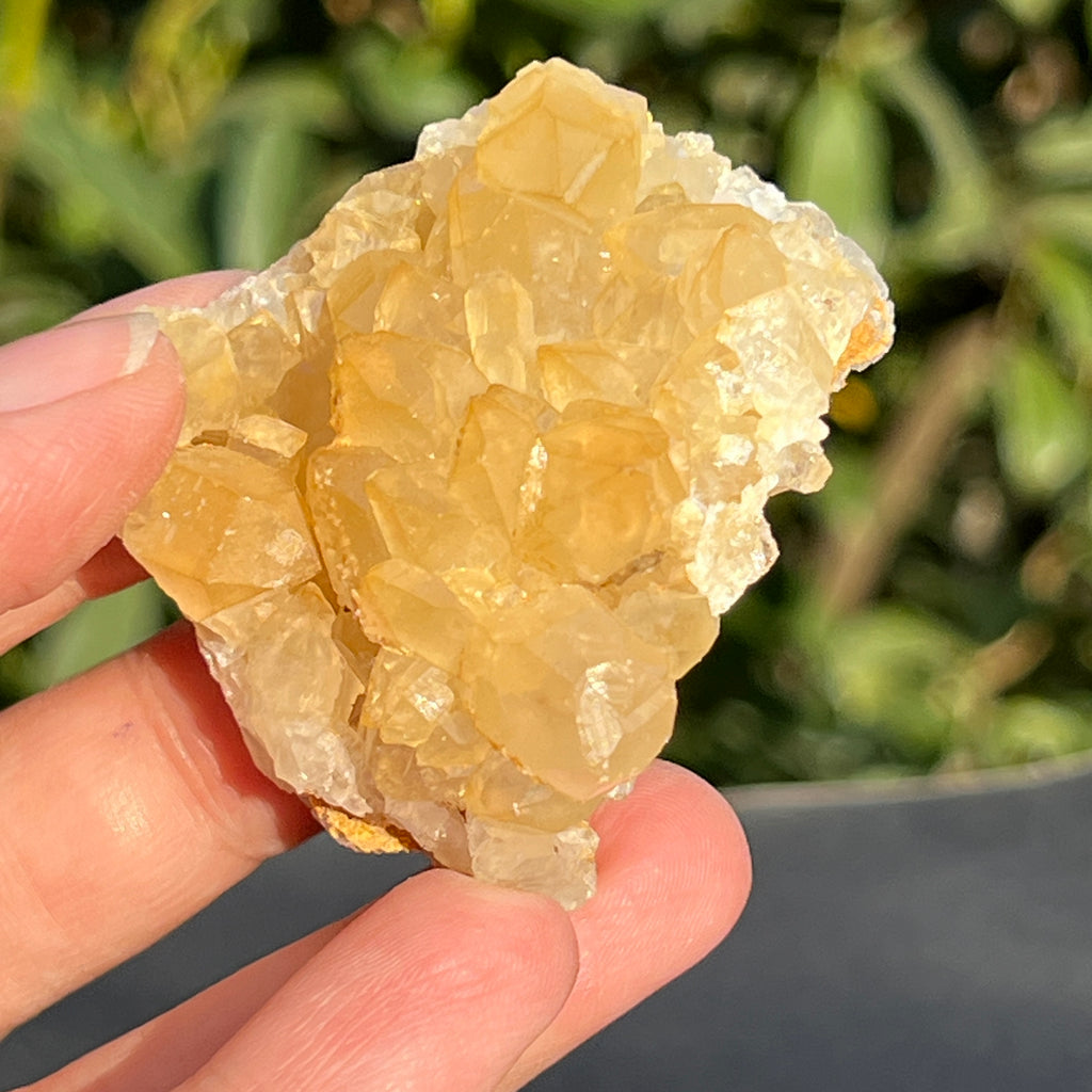 Cluster cuart lamaie Zambia, golden healer model 34, pietre semipretioase - druzy.ro 8 