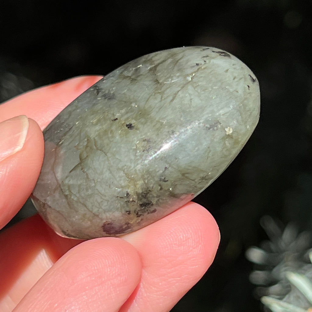 Labradorit palm stone m6, druzy.ro, cristale 6