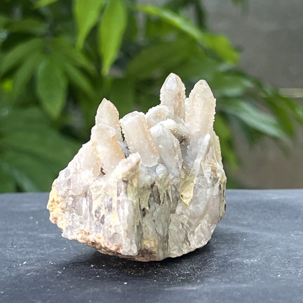 Cluster cuart spirit stalactit | Model 10, pietre semipretioase - druzy.ro 8 