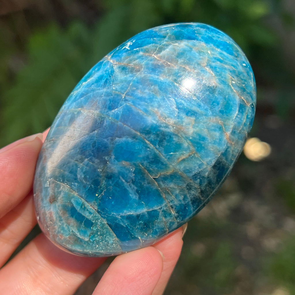 Apatit rulat palmstone model 3, pietre semipretioase - druzy.ro 1 