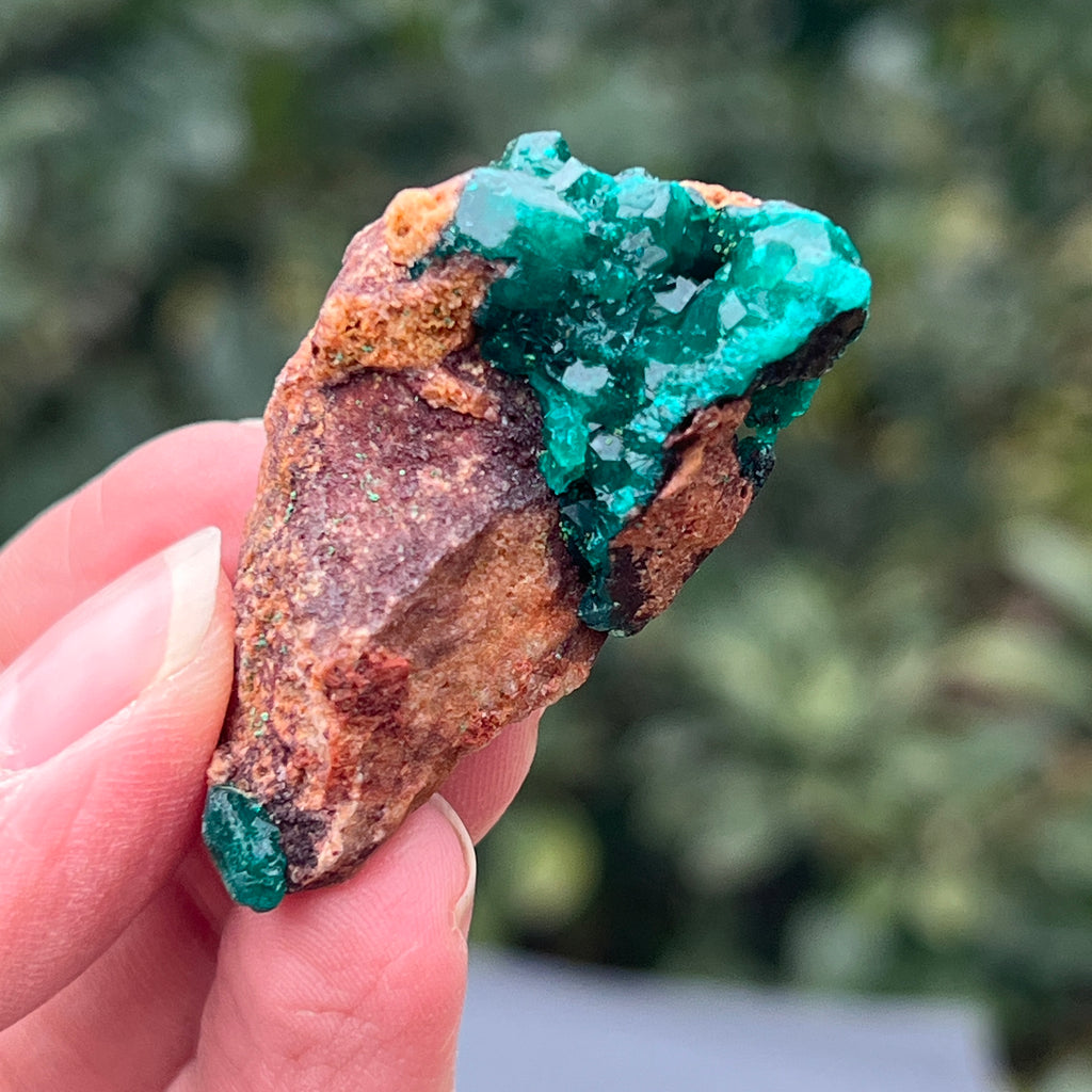 Dioptaz cluster din Congo model 23, pietre semipretioase - druzy.ro 2 