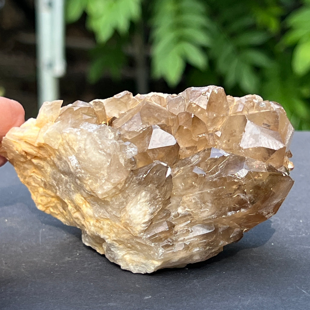 Citrin fumuriu din Congo – specimen natural, netratat | Model 5, pietre semipretioase - druzy.ro 1 