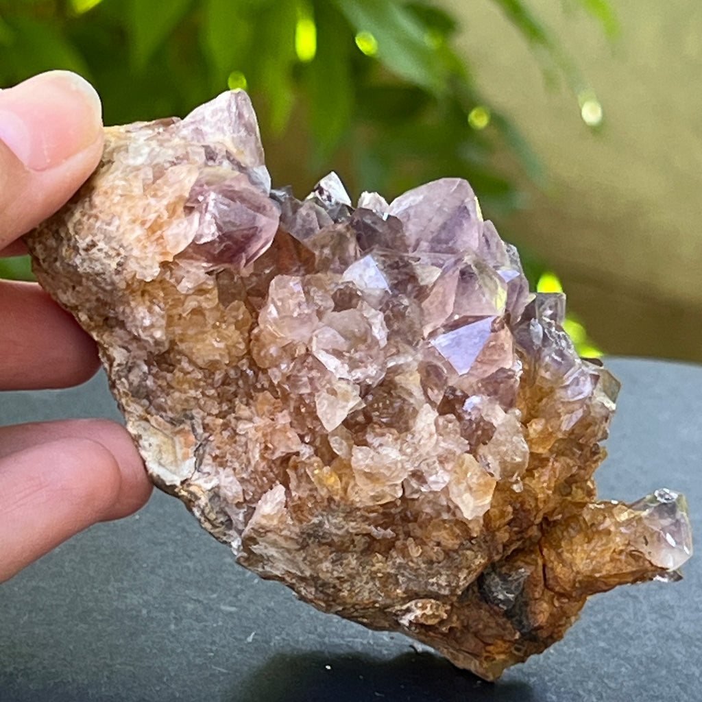 Specimen ametist cuart spirit din Africa de Sud | Model 24, pietre semipretioase - druzy.ro 3 