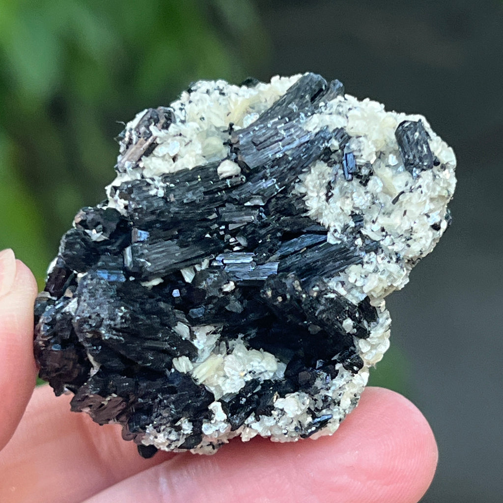 Cluster turmalina neagra cu vermiculita din Erongo m19, pietre semipretioase - druzy.ro 2 