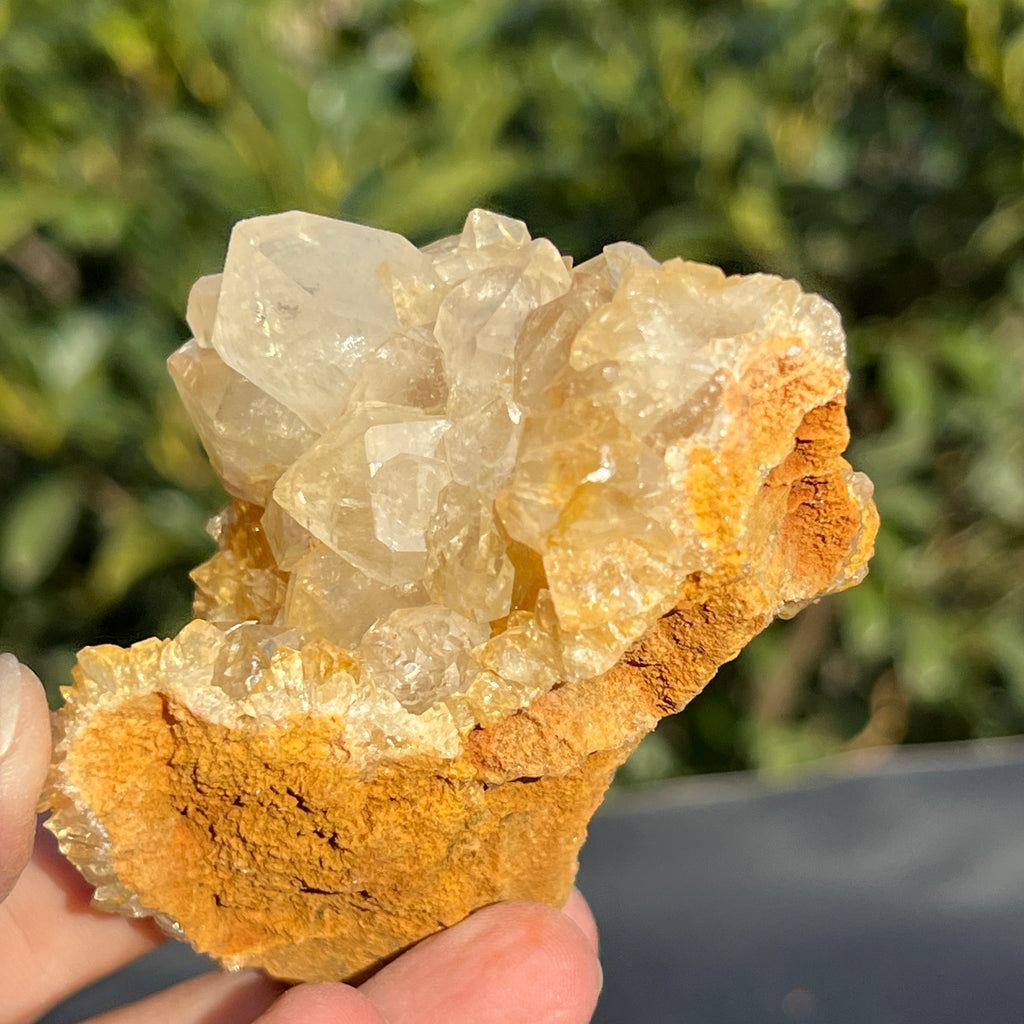 Cluster cuart lamaie Zambia, golden healer model 47, pietre semipretioase - druzy.ro 1 