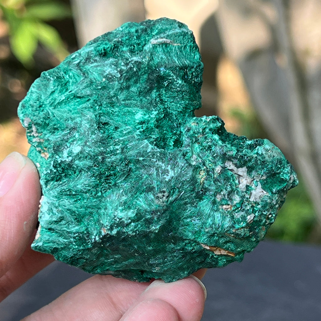 Malachit matasos piatra bruta m16, pietre semipretioase - druzy.ro 1 