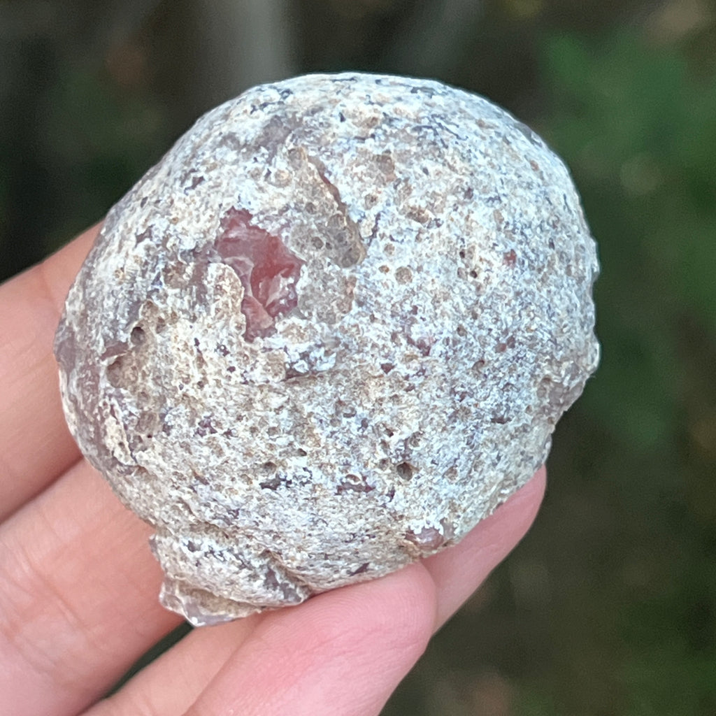 Agat de Botswana, nodul agat river model 11, pietre semipretioase - druzy.ro 6 