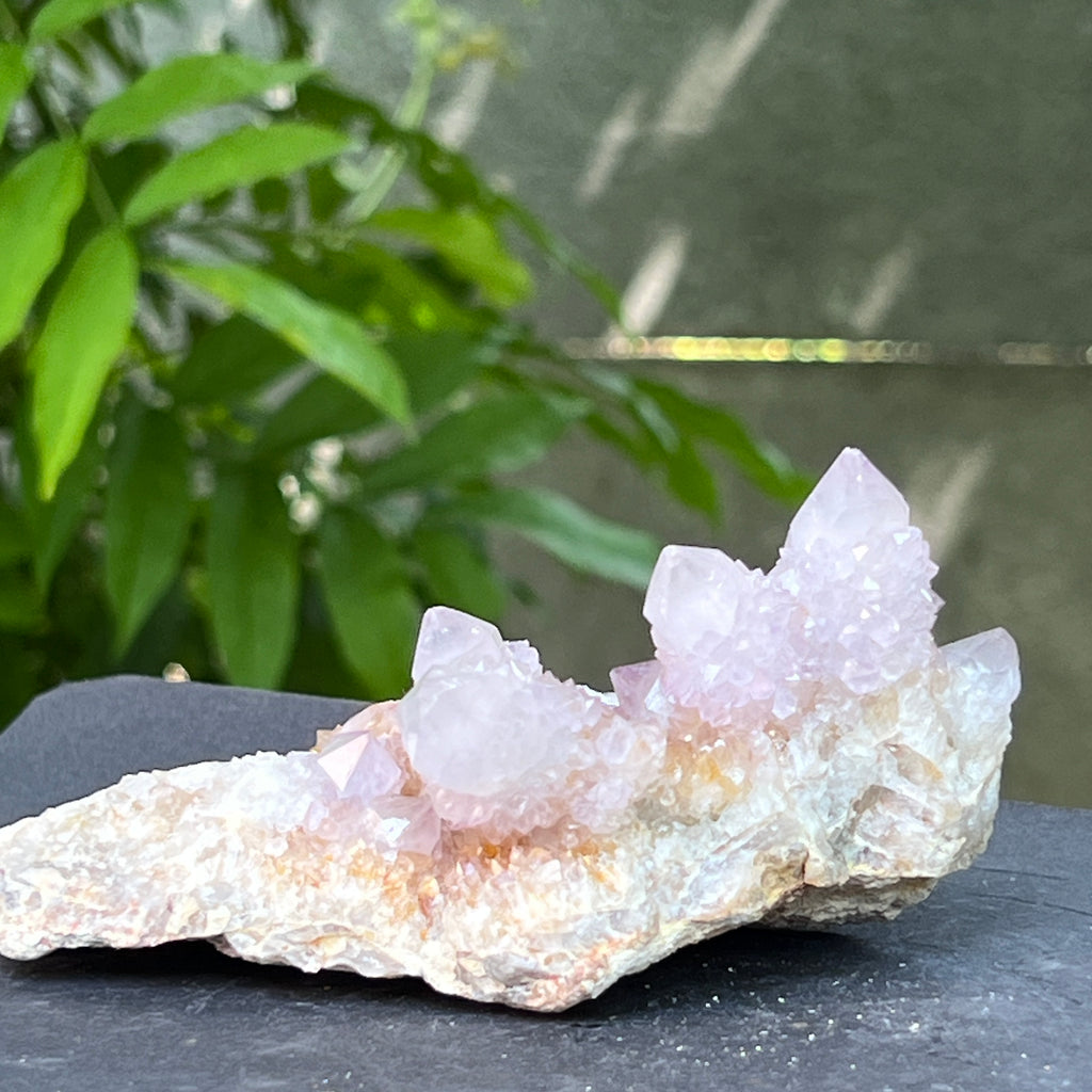 Specimen ametist cuart spirit din Africa de Sud | Model 9, pietre semipretioase - druzy.ro 3 