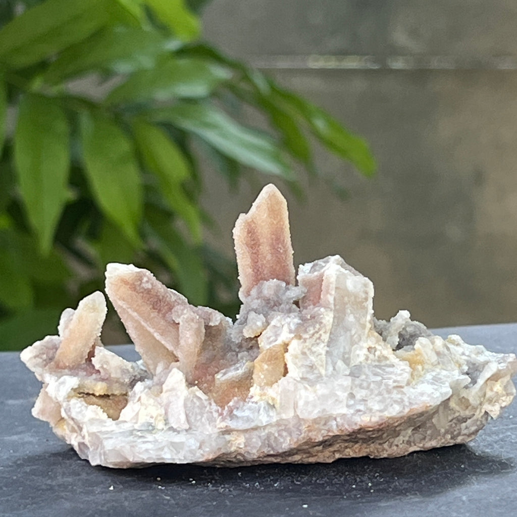 Cluster cuart spirit stalactit | Model 8, pietre semipretioase - druzy.ro 2 