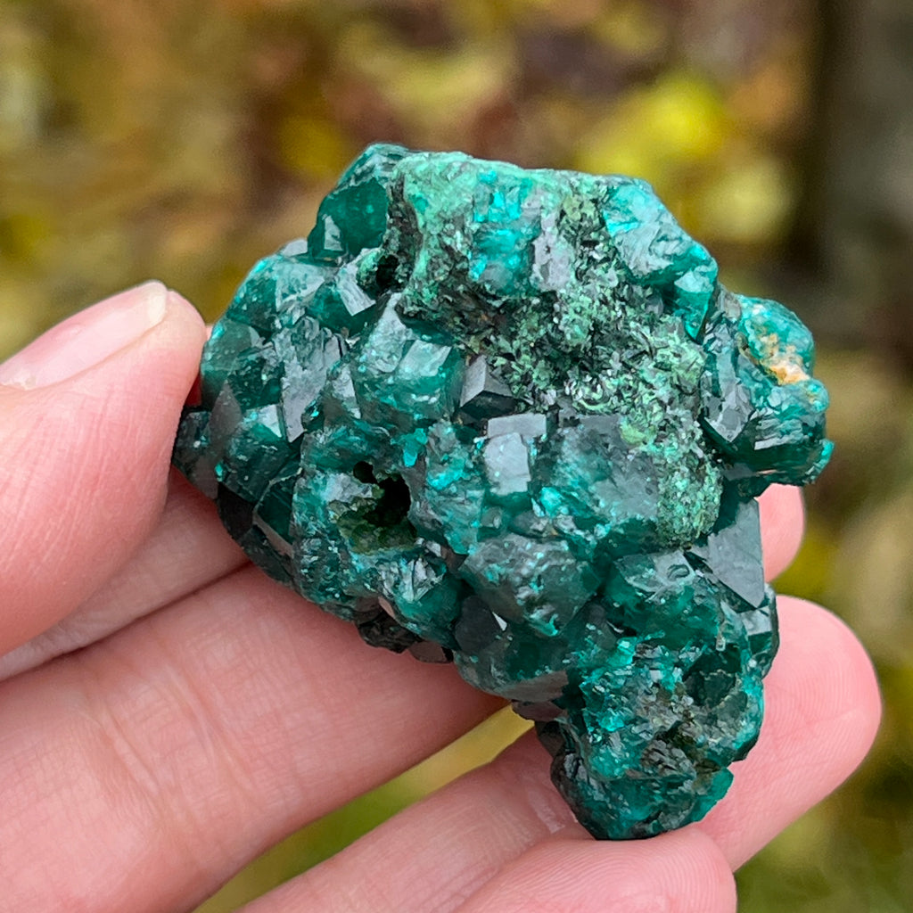 Dioptaz cluster din Congo model 6, pietre semipretioase - druzy.ro 5 