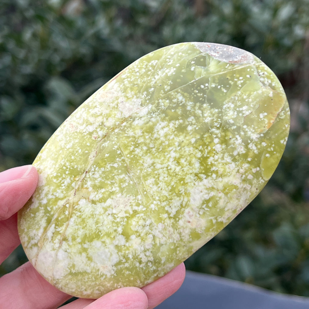 Serpentin galben palmstone XL5, pietre semipretioase - druzy.ro 5 