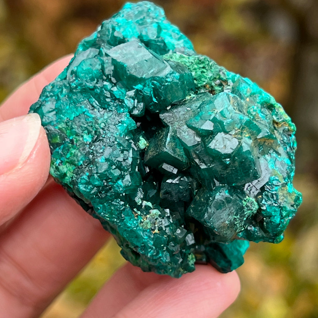 Dioptaz cluster din Congo model 10, pietre semipretioase - druzy.ro 1 