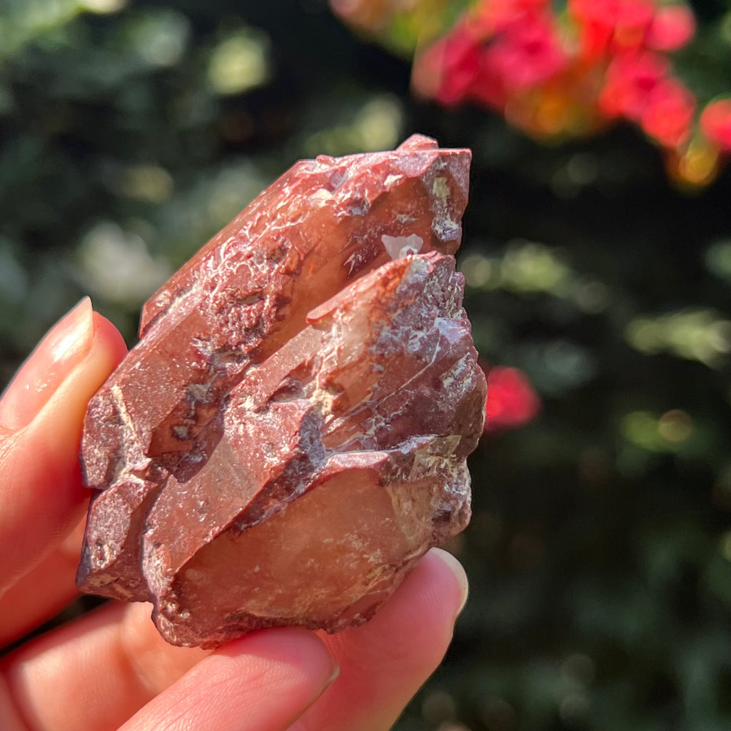 Cluster rosu hematoid din Zimbabwe model 1, pietre semipretioase - druzy.ro 1