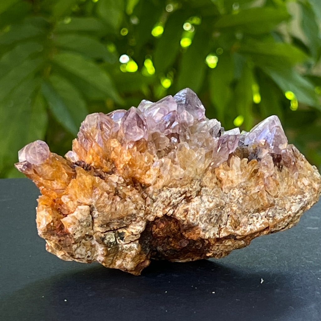 Specimen ametist cuart spirit din Africa de Sud | Model 24, pietre semipretioase - druzy.ro 5 