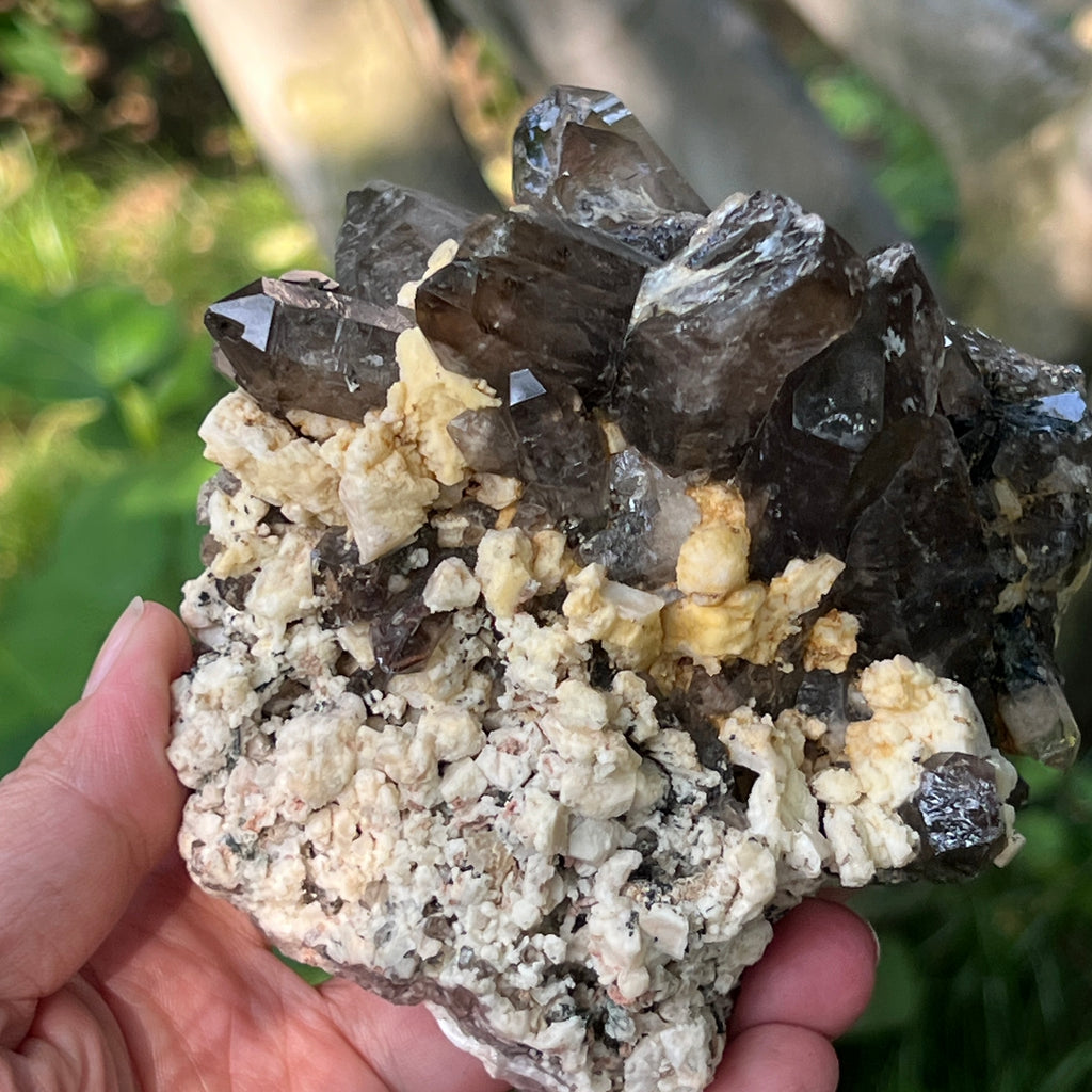 Specimen cluster cuart fumuriu m5, pietre semipretioase - druzy.ro 5 