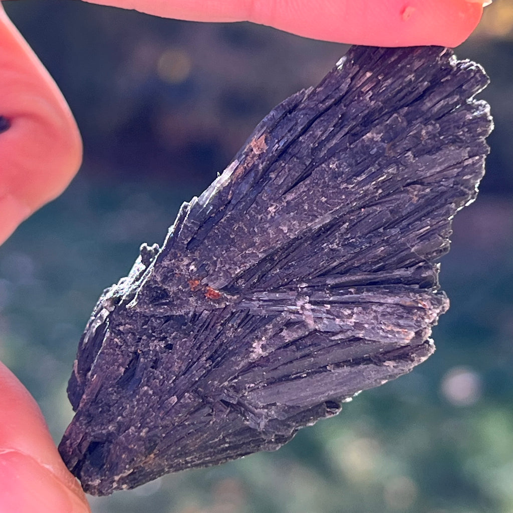 Kianit negru (Cianit) piatra bruta, druzy.ro, cristale 2