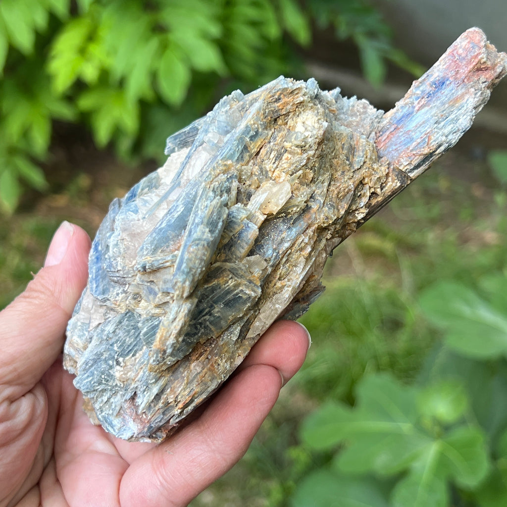 Kianit albastru (Cianit) piatra bruta din Zimbabwe model c2/1, pietre semipretioase - druzy.ro 4 