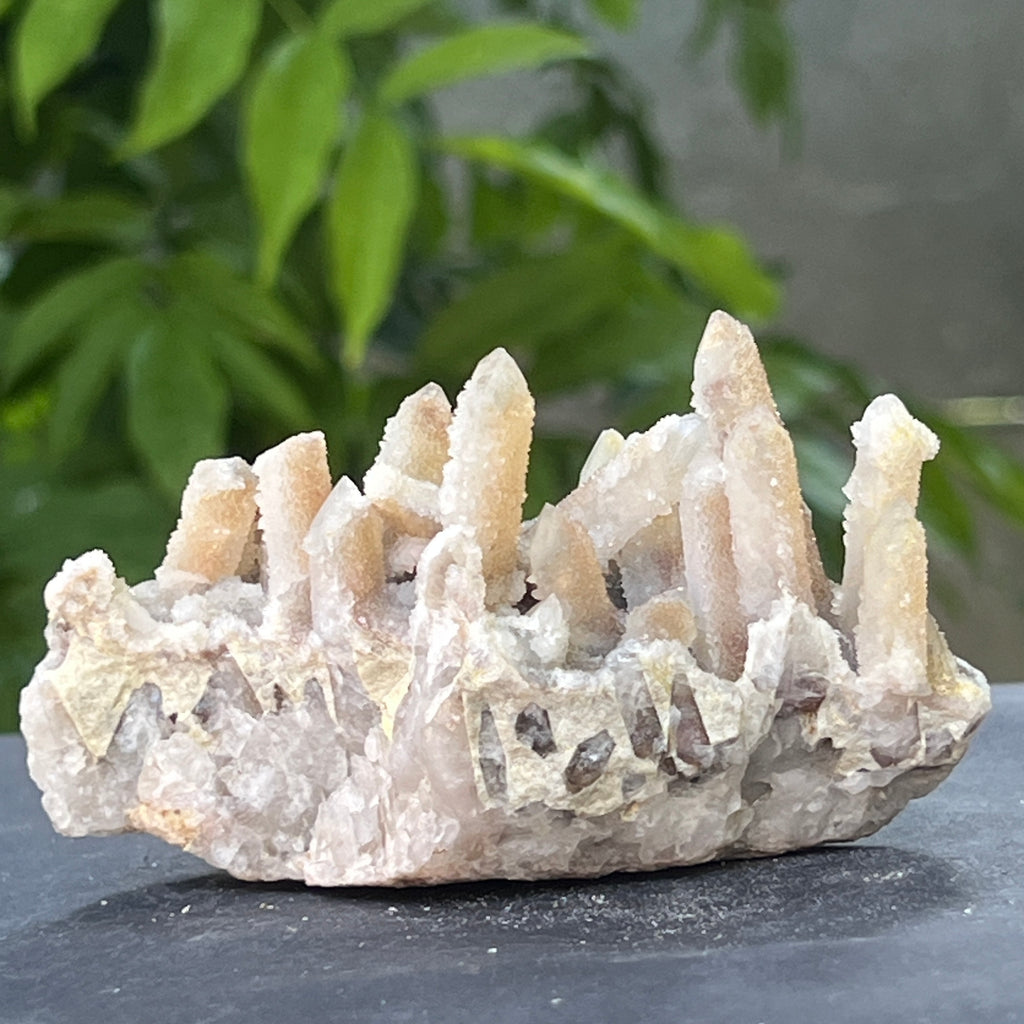 Cluster cuart spirit stalactit | Model 10, pietre semipretioase - druzy.ro 6 