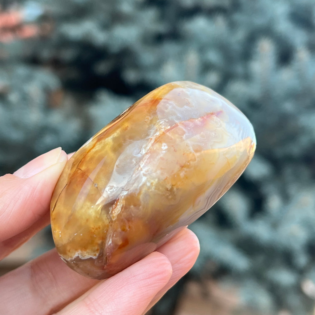 Agat de Botswana palm stone m11A, druzy.ro, cristale 6