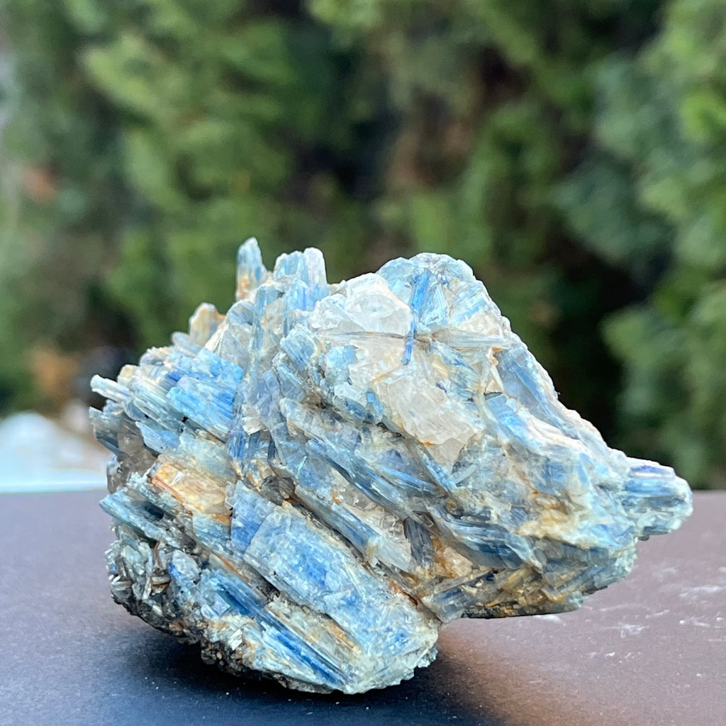 Kianit albastru (Cianit) piatra bruta din Zimbabwe model c2/1, druzy.ro, cristale 3