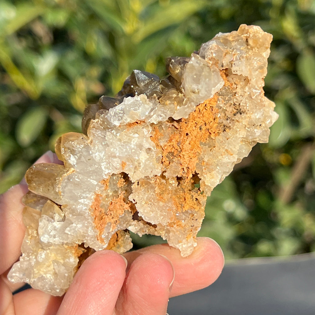 Cluster cuart lamaie Zambia, golden healer model 40, pietre semipretioase - druzy.ro 7 