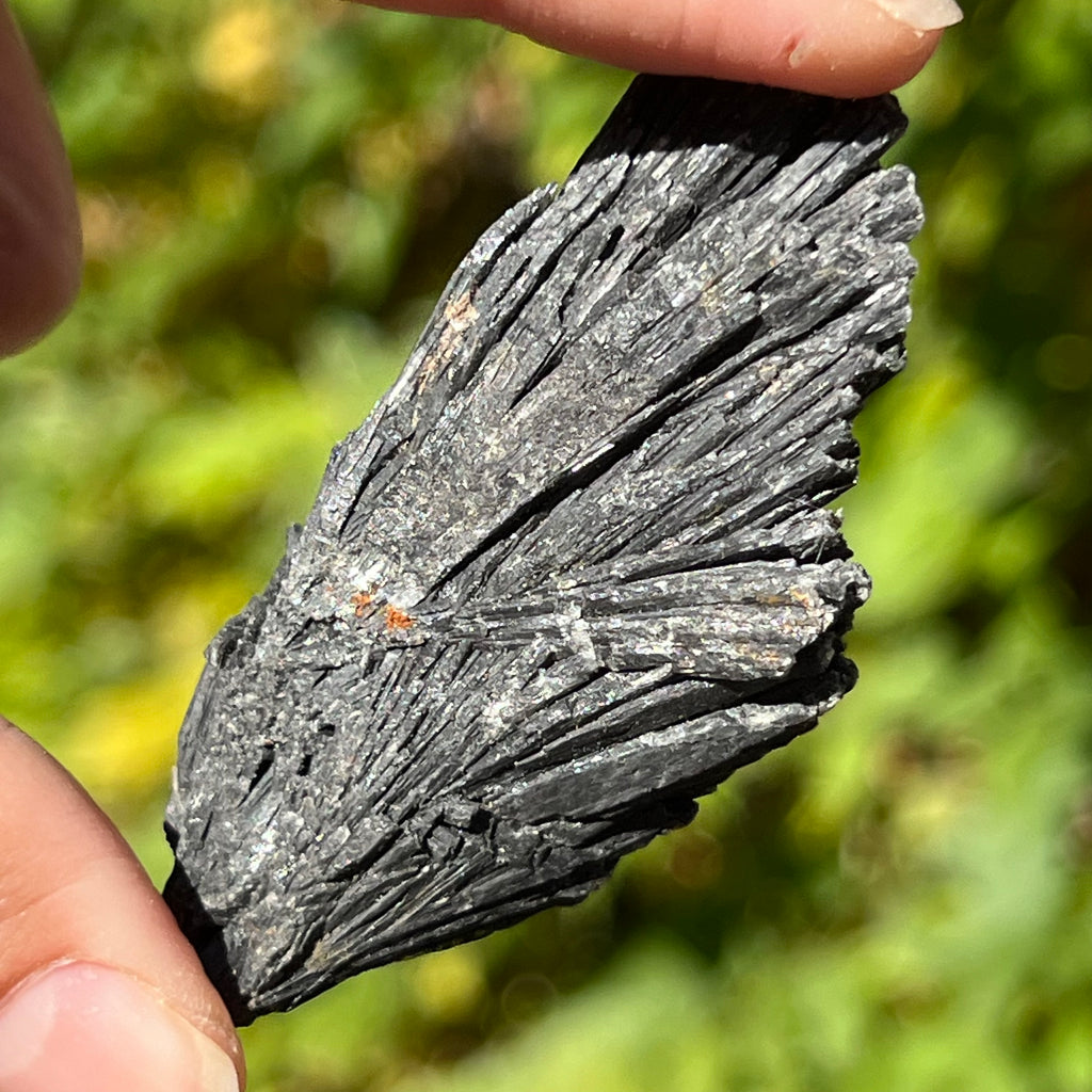 Kianit negru (Cianit) piatra bruta, druzy.ro, cristale 6