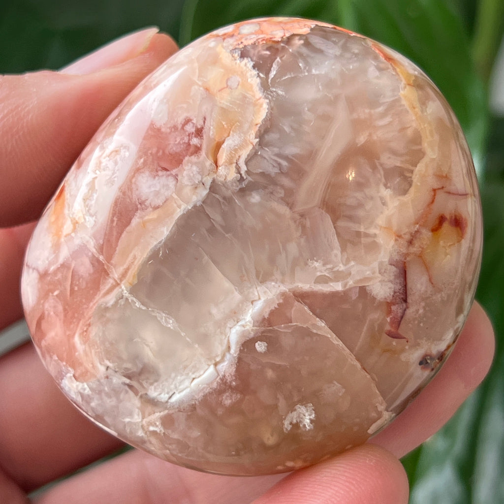 Palmstone agat coral floare rosu m26, pietre semipretioase - druzy.ro 1 