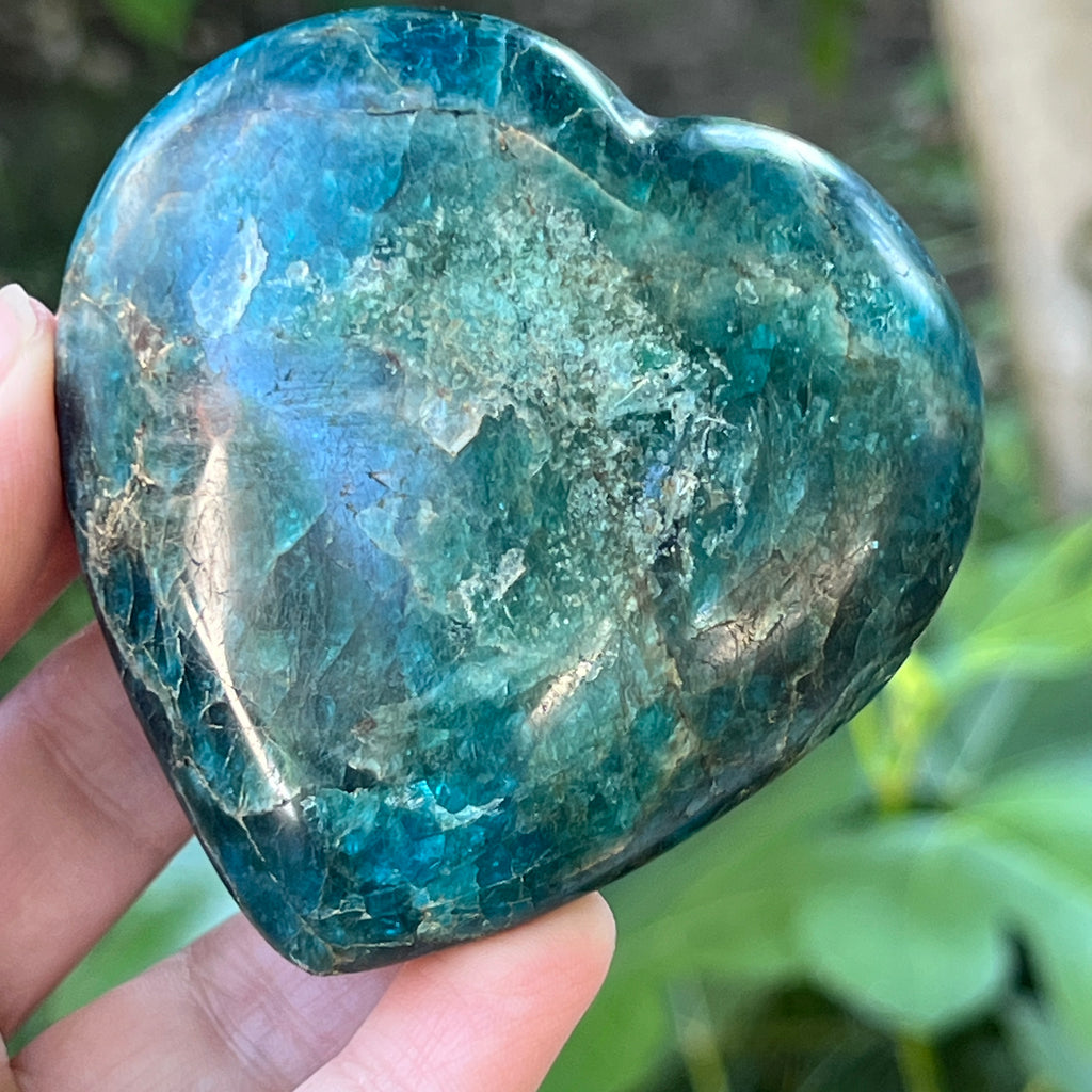 Inima apatit | Model 8, pietre semipretioase - druzy.ro 1 
