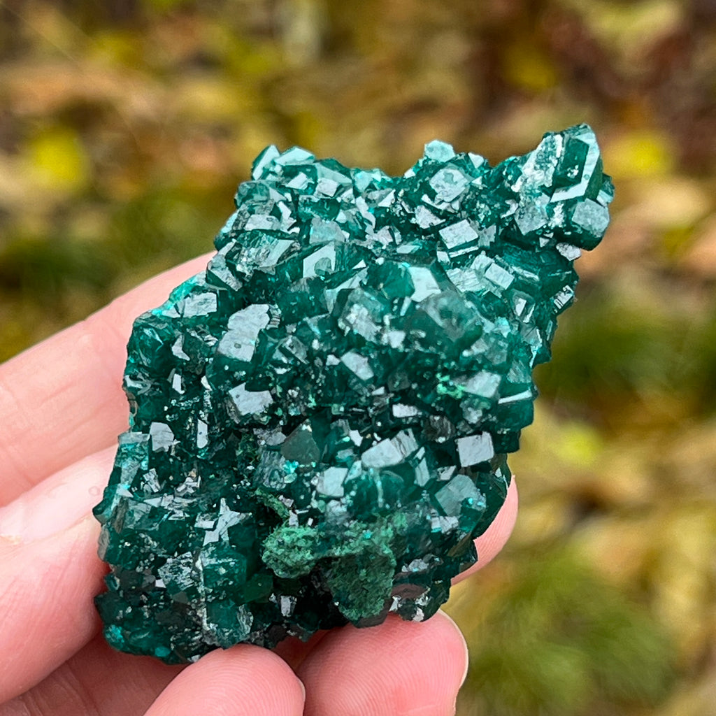 Dioptaz cluster din Congo model 7, pietre semipretioase - druzy.ro 6 