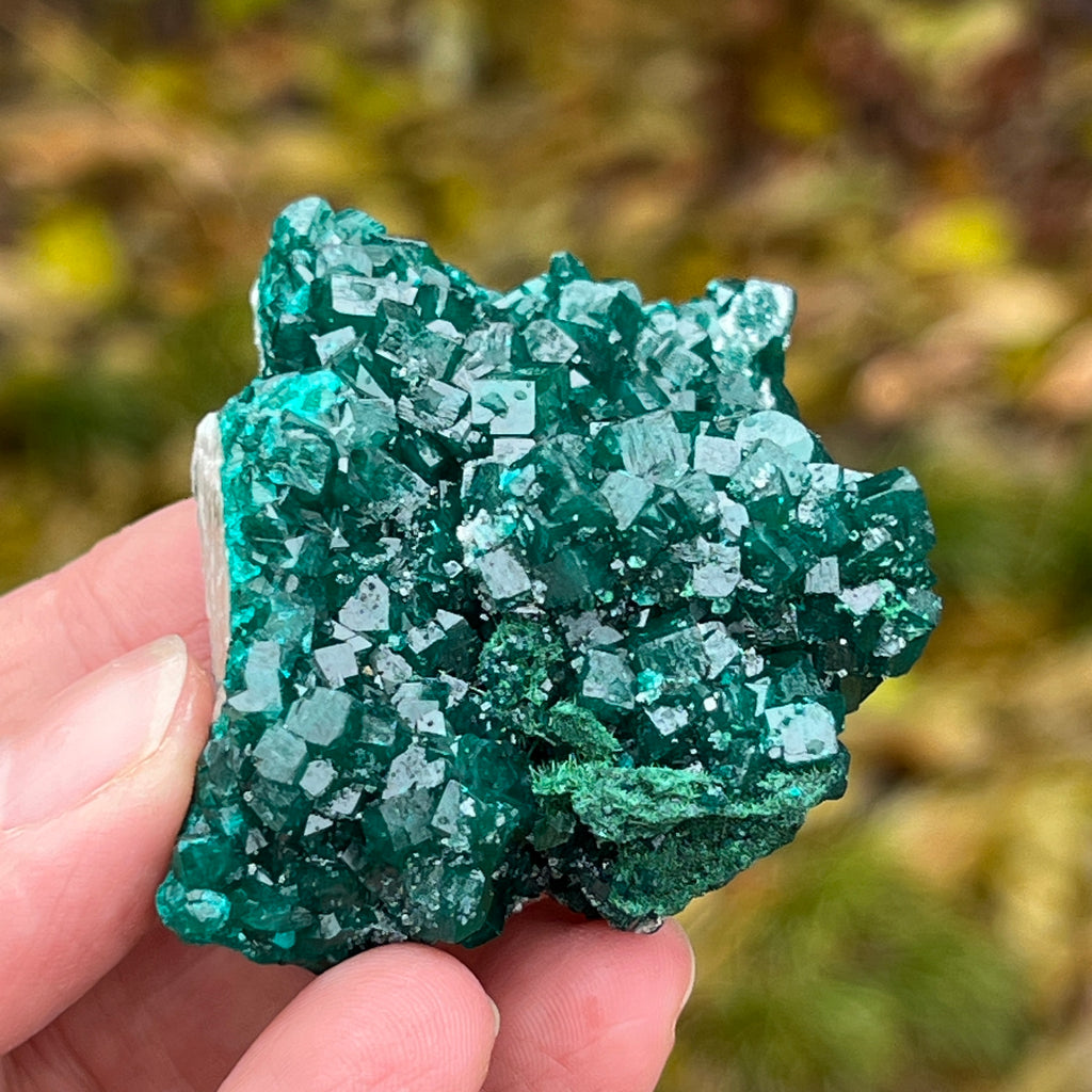 Dioptaz cluster din Congo model 7, pietre semipretioase - druzy.ro 3 