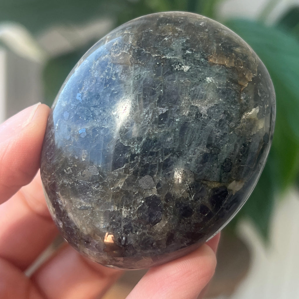 Palmstone Iolit (safir de apa) din Madagascar model 2, pietre semipretioase - druzy.ro 2 