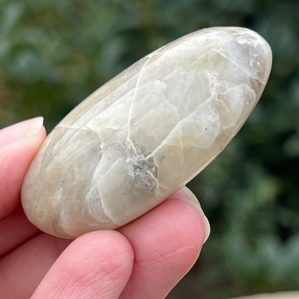 Palmstone piatra lunii cu garnierit m28, pietre semipretioase - druzy.ro 7 