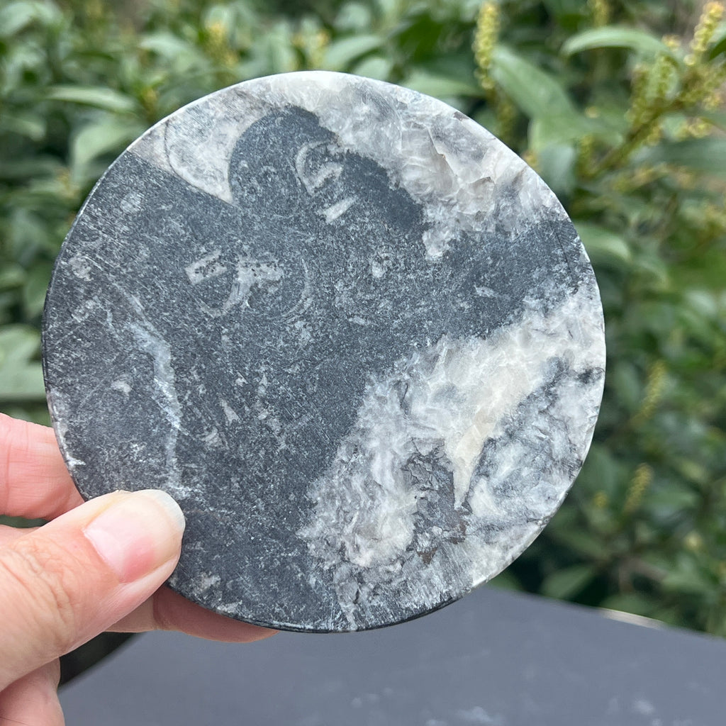 Disc Fosil Orthoceras forma Metatron, pietre semipretioase - druzy.ro 4 
