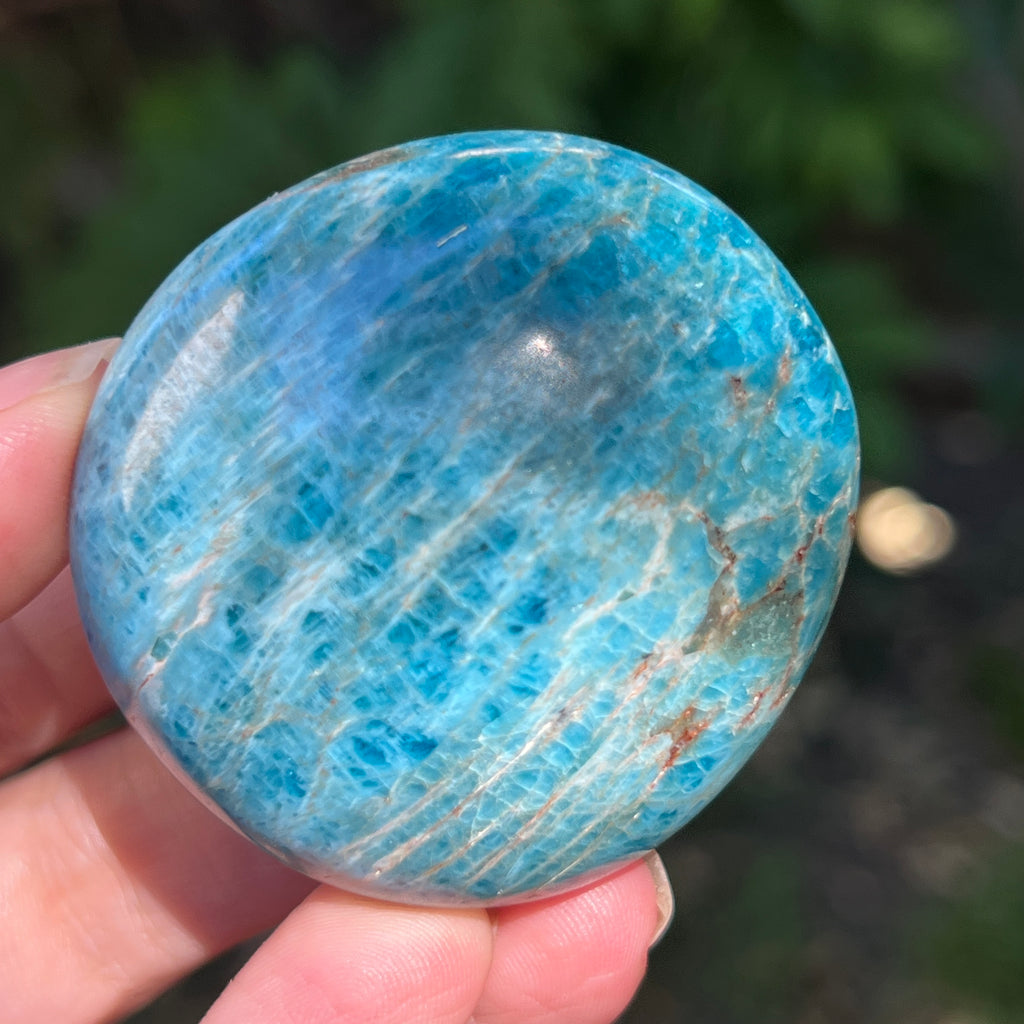 Apatit rulat palmstone model 8, pietre semipretioase - druzy.ro 1 