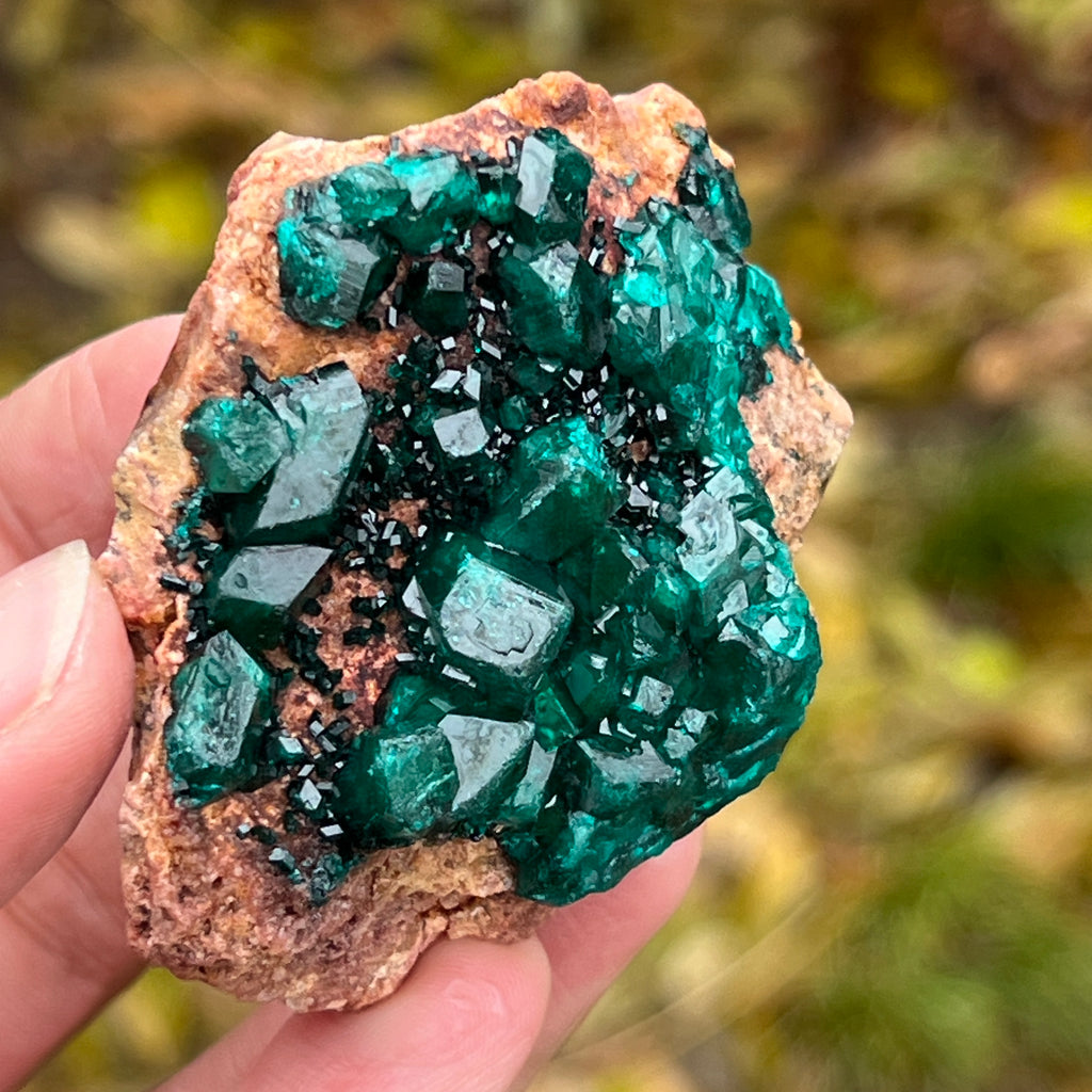 Dioptaz cluster din Congo model 8, pietre semipretioase - druzy.ro 5 