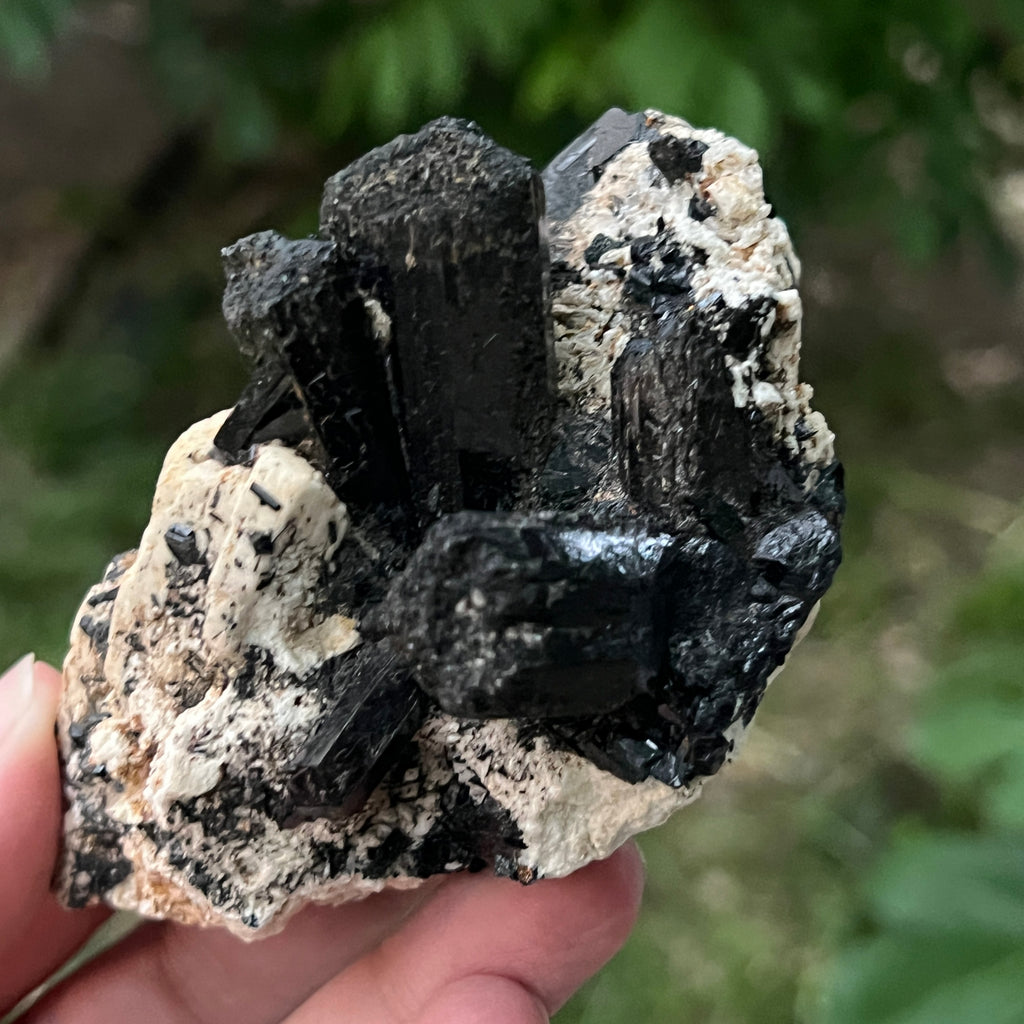 Cluster turmalina neagra model 1 din Erongo, Namibia, pietre semipretioase - druzy.ro 1 